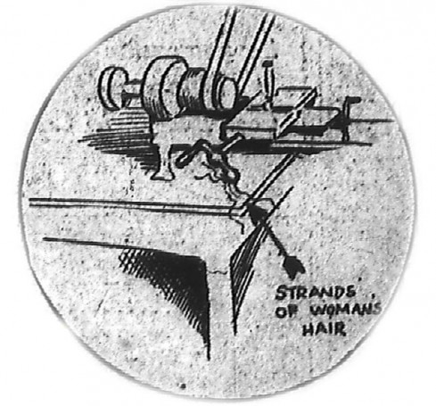 Artist's representation of the hair found on the lathe handle