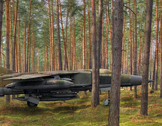 Brilliant “Forces” on Display Brilliant “Forces” on Display thumbnail